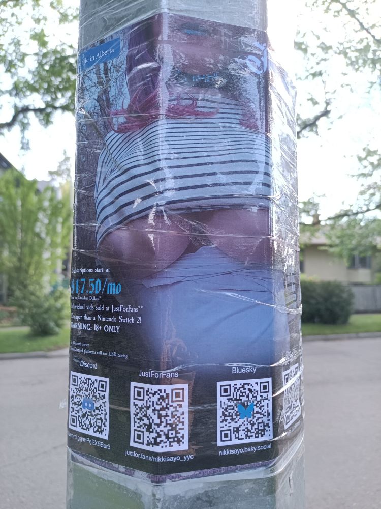 Poster V8.1 for my content gig, with QR codes for Discord, JFF, my Bluesky profile, and my Linktree

$17.50/mo Canadian is indeed cheaper than a Nintendo Switch 2 