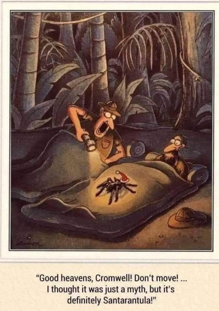 Men looking at a tarantula