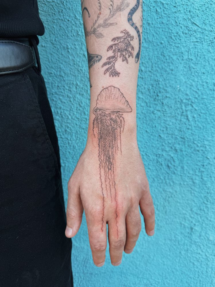 Tattoo of a Portuguese man o war, leafy sea dragon, sea krait and some other healed tattoos on a hand in front of a blue wall