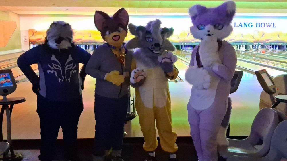 Purple fox having fun in a mini bowling furmeet with some local furries