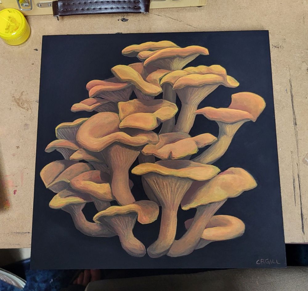 A painting of a cluster of orange jack o'lantern mushrooms on black background.