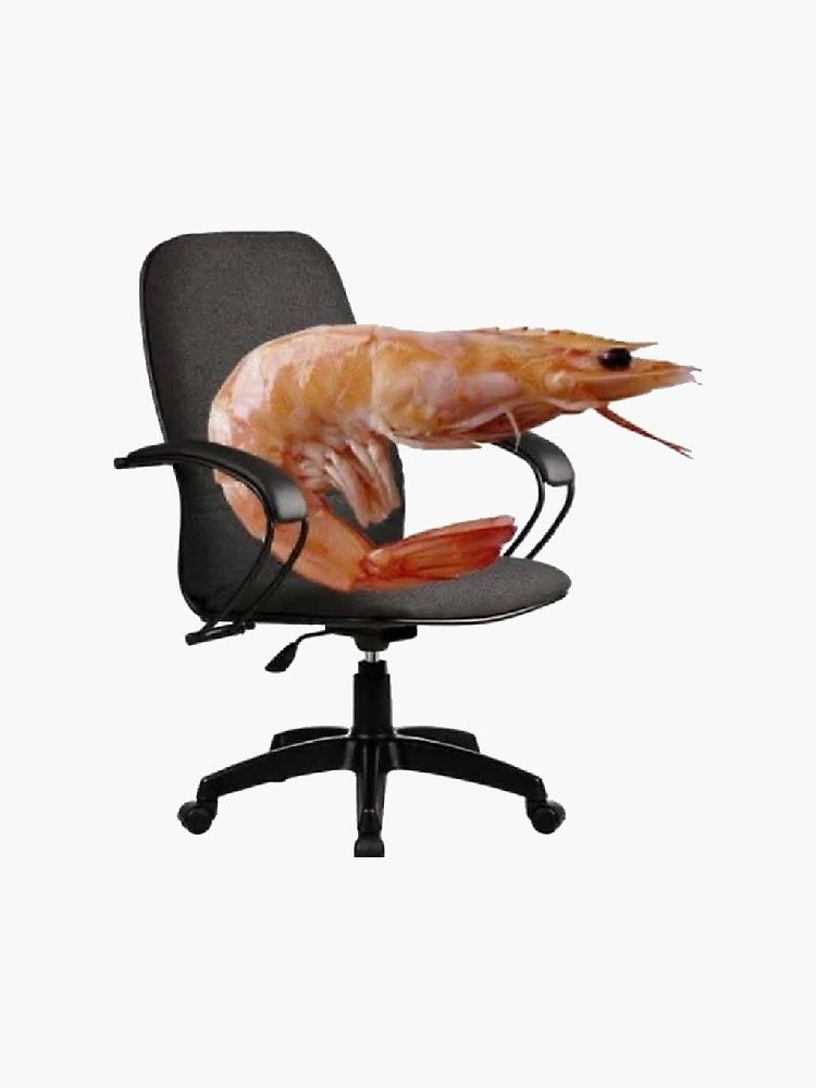 Shrimp sitting in a desk chair 