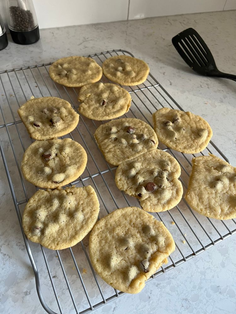 Some (flop looking, my fault) chocolate chip cookies 
