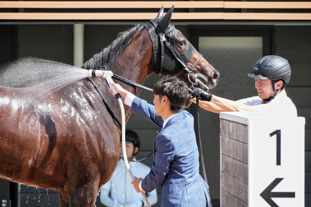 ルーチェフィオーレ