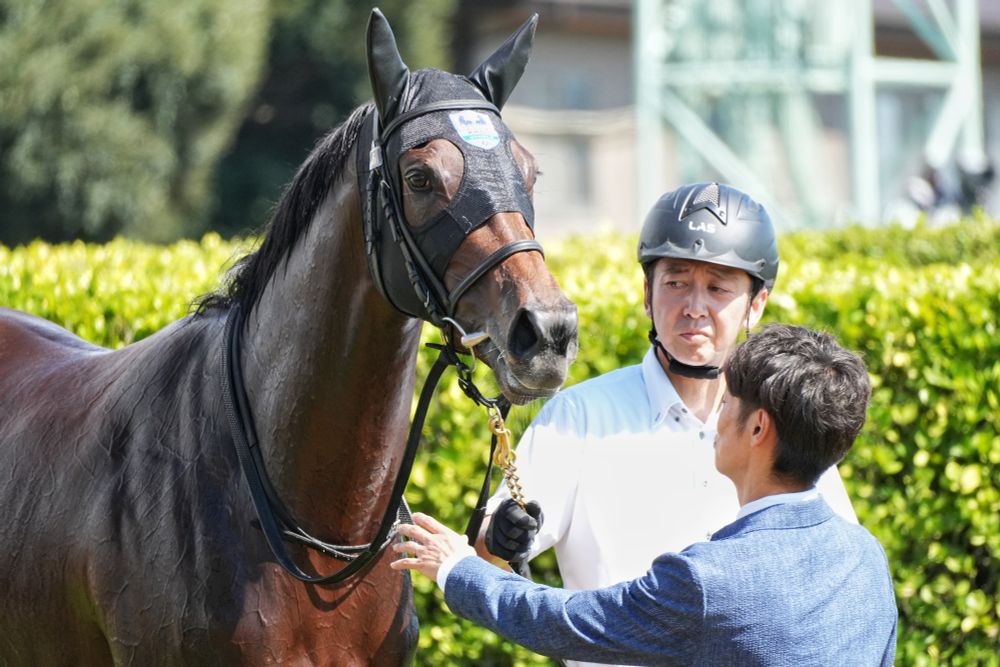 ルーチェフィオーレ