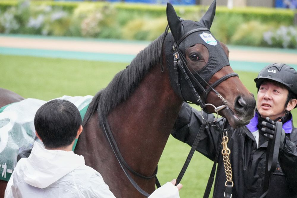 ルーチェフィオーレ