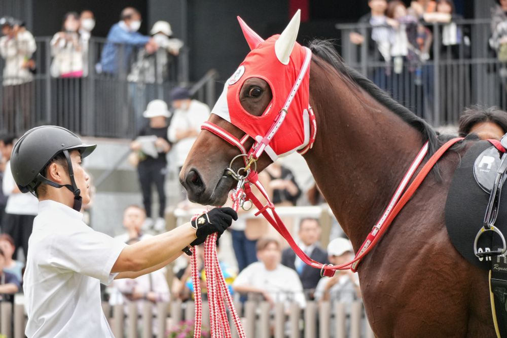 ナオミライトニング