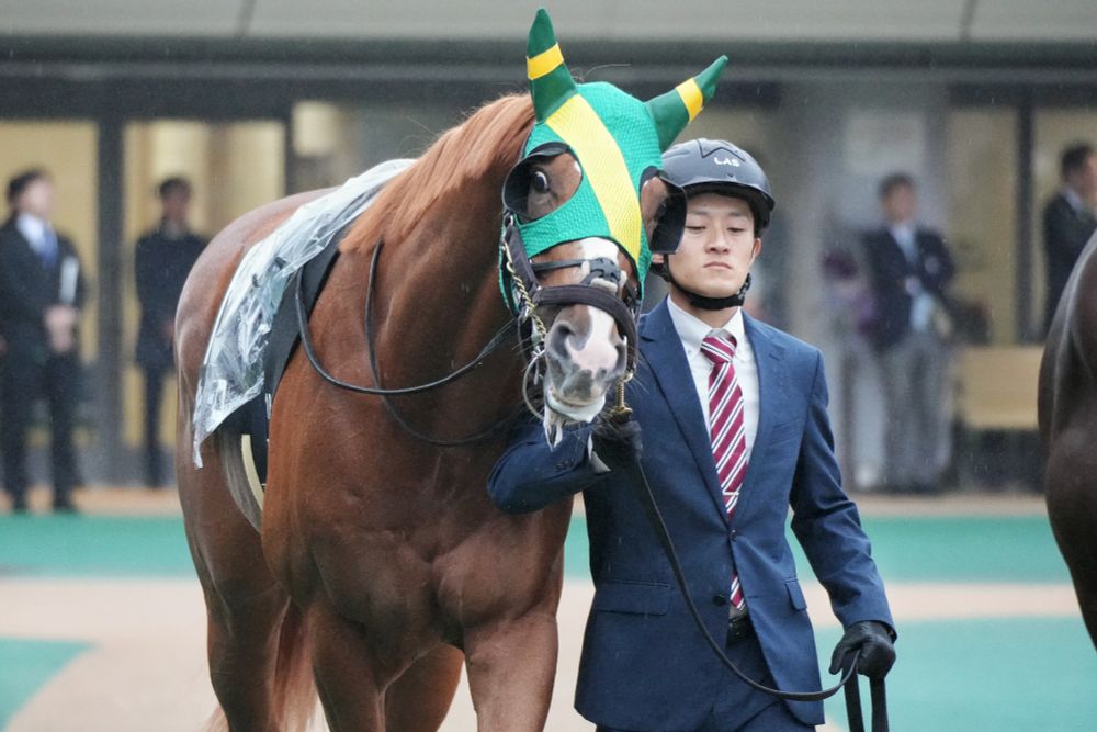 ジョージテソーロ