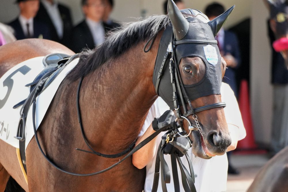 ルーチェフィオーレ