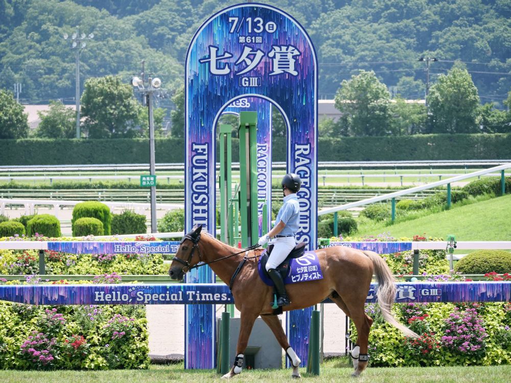 ヒプノティスト