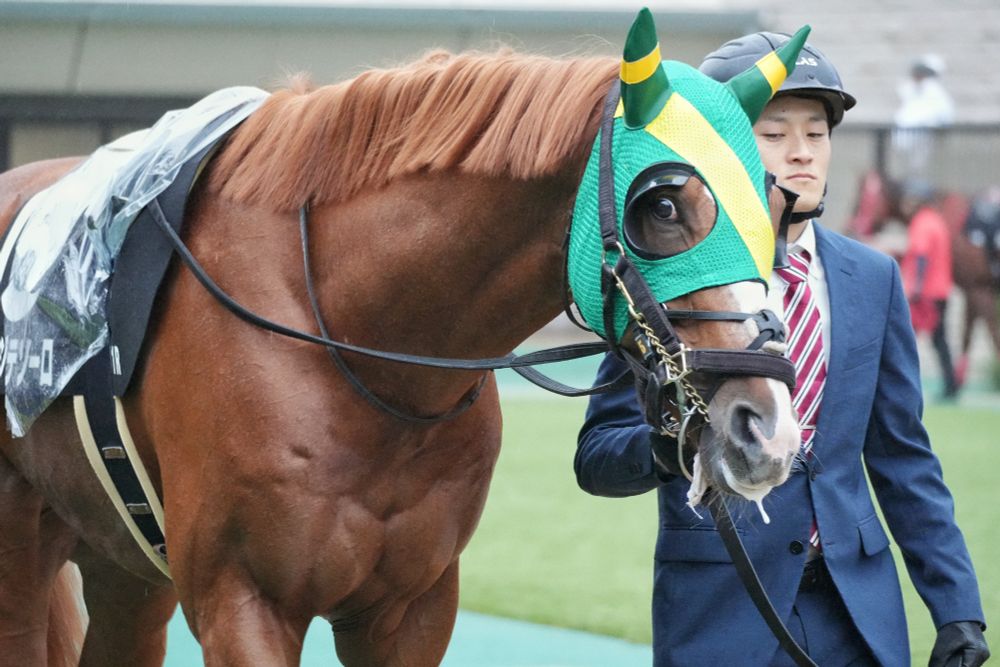 ジョージテソーロ