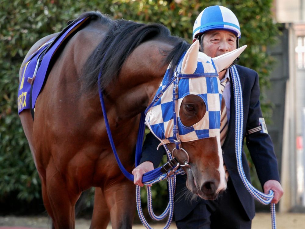 ライゾマティクス