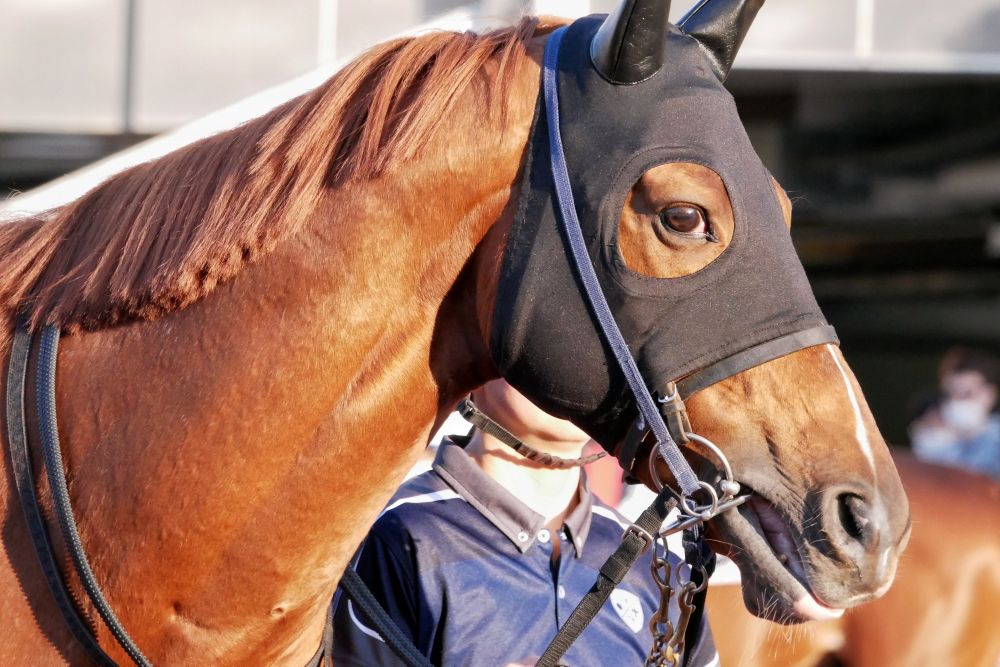 ムーンダイアローグ