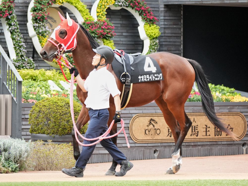 ナオミライトニング