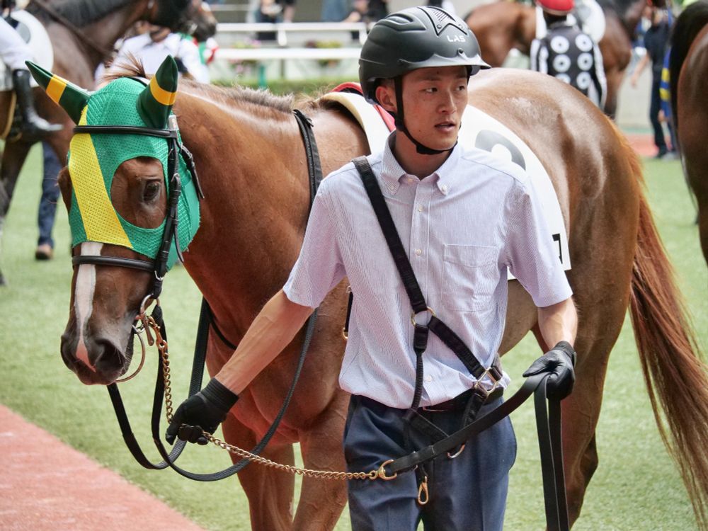 ヘレンテソーロ