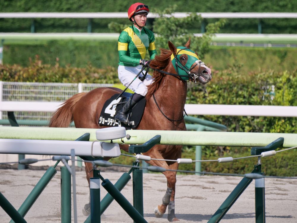 ジョージテソーロ