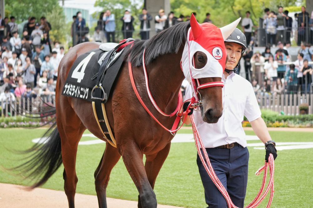 ナオミライトニング