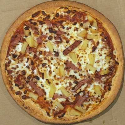 A fabulous pizza