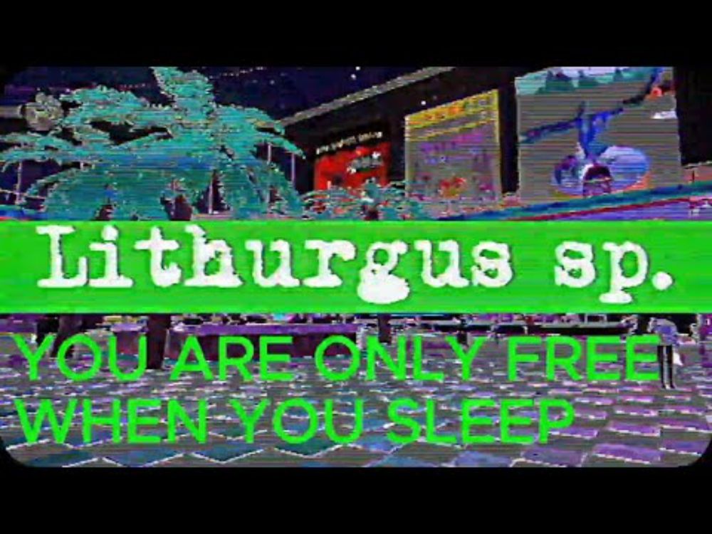 「You are only free when you sleep」- The control everything - Lithurgus sp.
