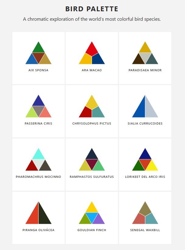 Bird palette