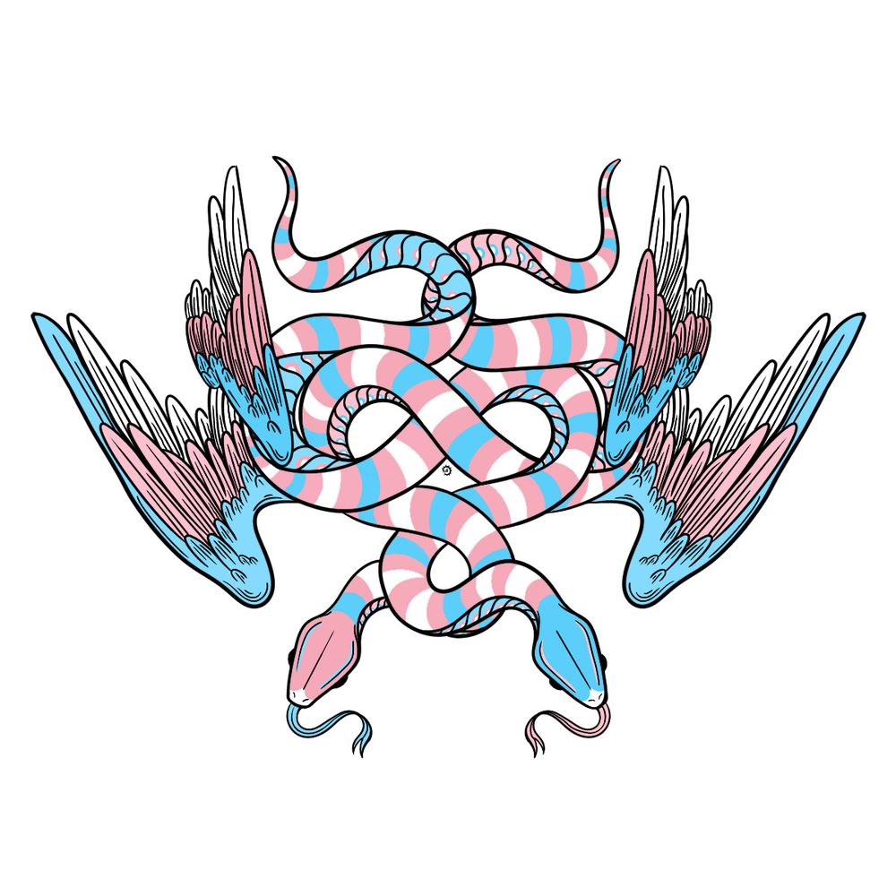 A digital drawing depicting two intertwined snakes form an elaborate knot. They are striped in the colours of the trans flag, and each snake has two feathered wings, also coloured in the trans flag.