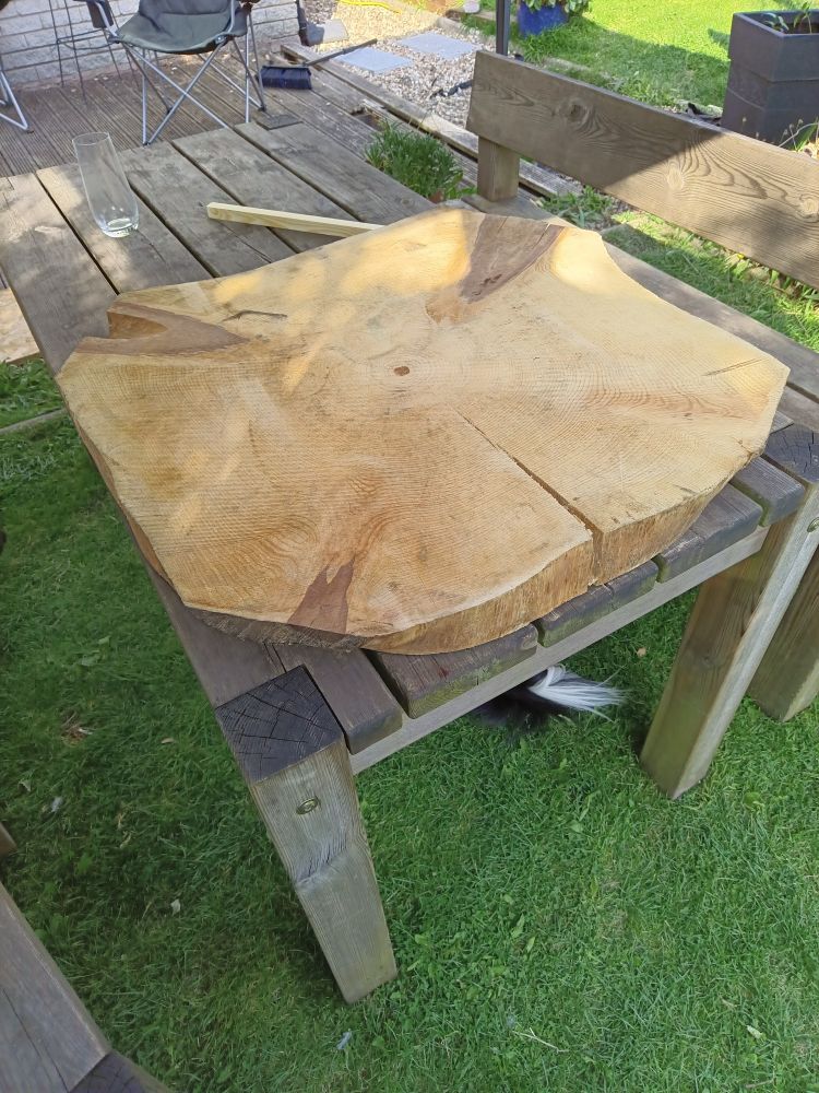 A large monkey puzzle cookie (slice across the tree) waiting to be turned into a coffee table)this is a rare find.