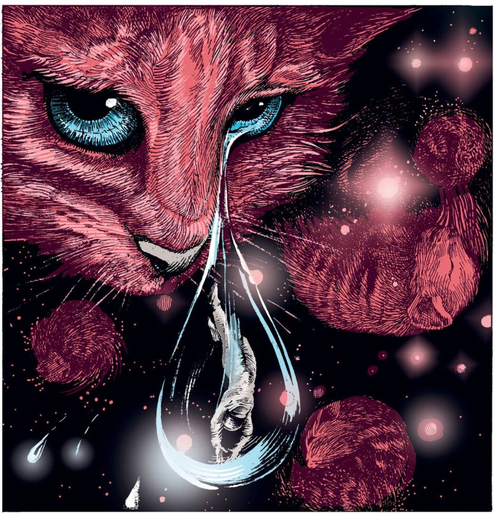 Illustration d'un chat rouge aux yeux turquoises, le chat pleure une larme dans laquelle il y a un astronaute...