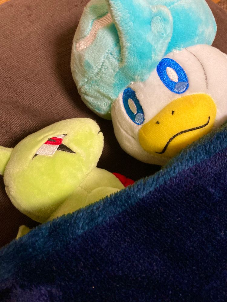 布団に寝かされるヨーギラスとクワッス