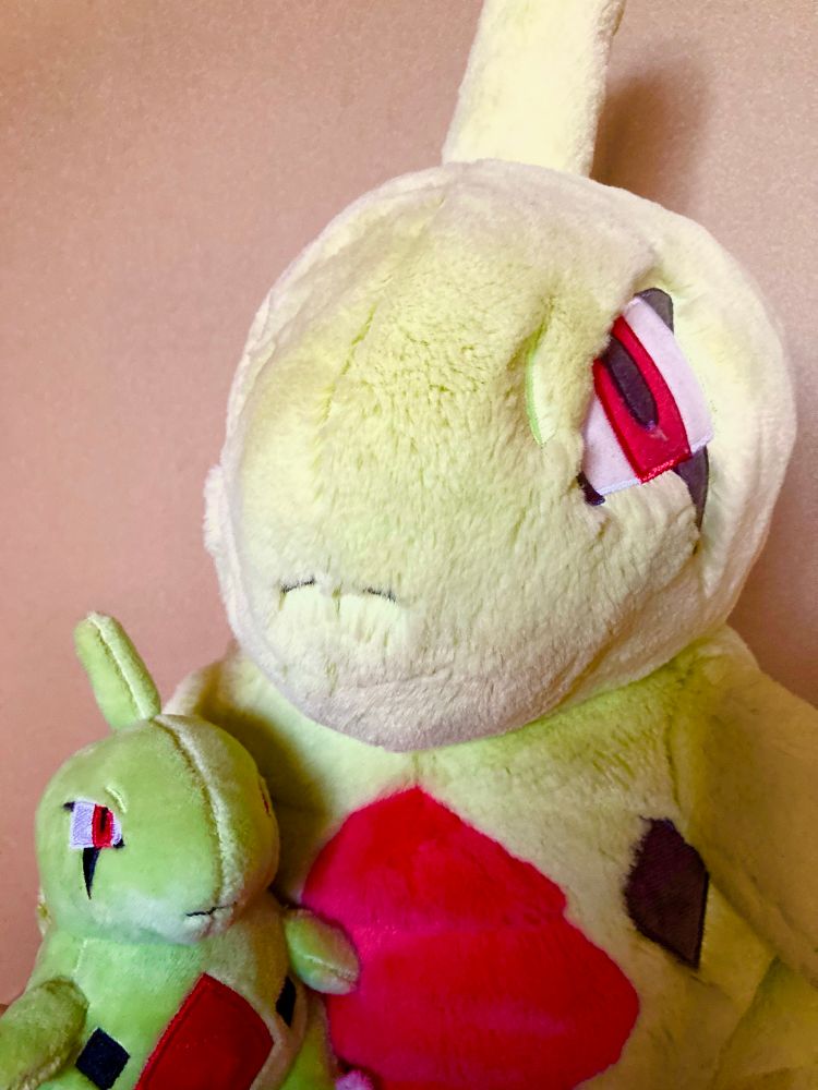 でかいヨーギラスと小さいヨーギラス