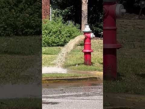 City #Water I guess they expect us to drink this ?  @CityofColumbiaGovernment #DoBetter ￼￼