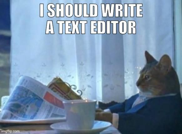 I should buy a boat cat meme, with caption "I should write a text editor." 