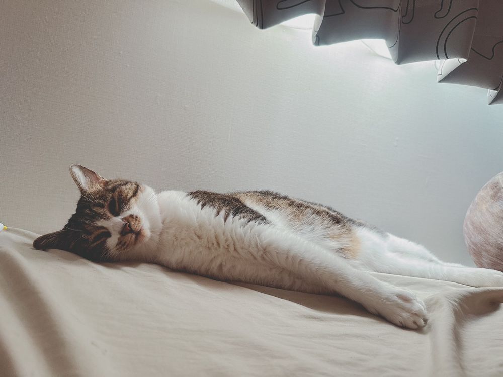 あいちゃんながーーーい