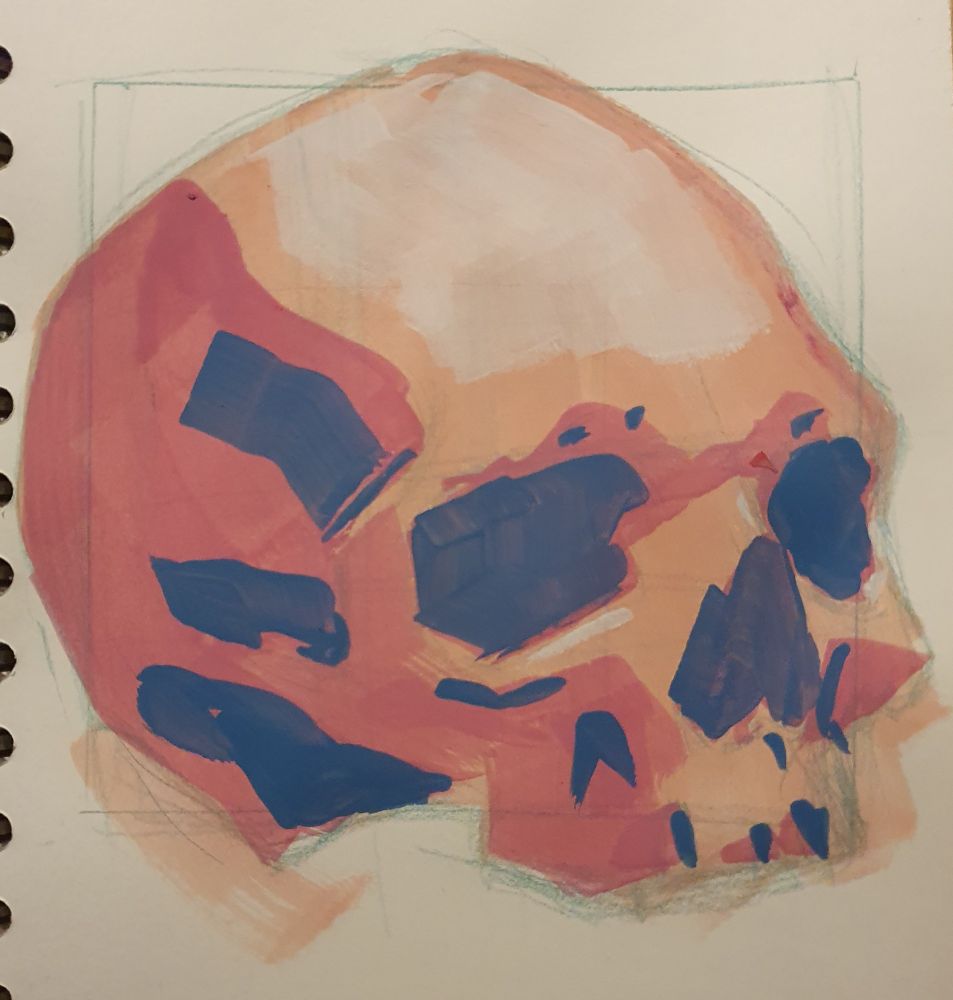 A gouache painting of a human skull in 3 quarter view. The shadows are muted blue, midtones pink, highlights orange and yellow. The skull is painted in a blocky and loose style with not much detail. The painting is unfinished.