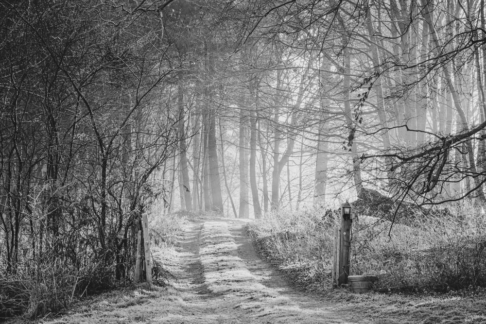 misty gateway