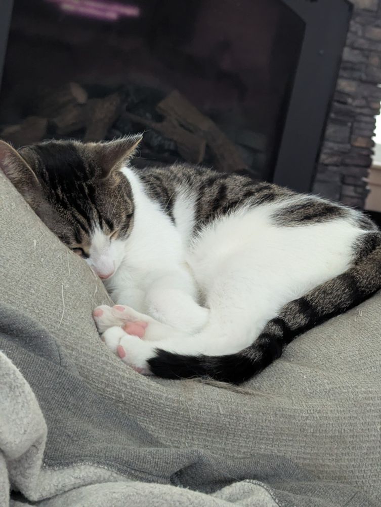 A tabby cat with a lot more white on the bottom, dozing on the soft couch while in front of an unlit fireplace. You can see his pink toes on his back legs.