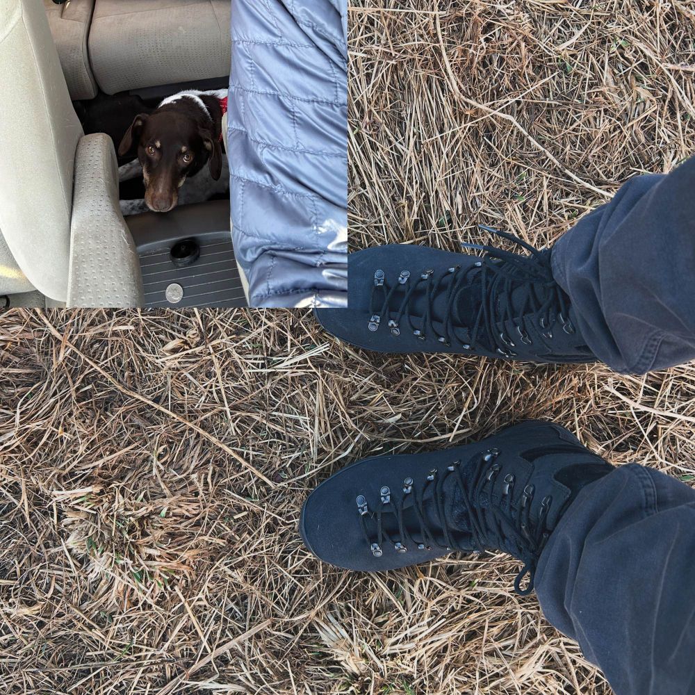 Dog waiting to go into dog park and picture of leather fire boots