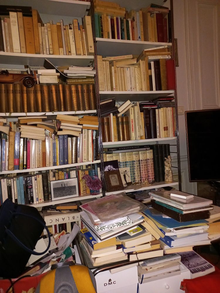 Étagères de bibliothèque et table basse débordant de livres. 