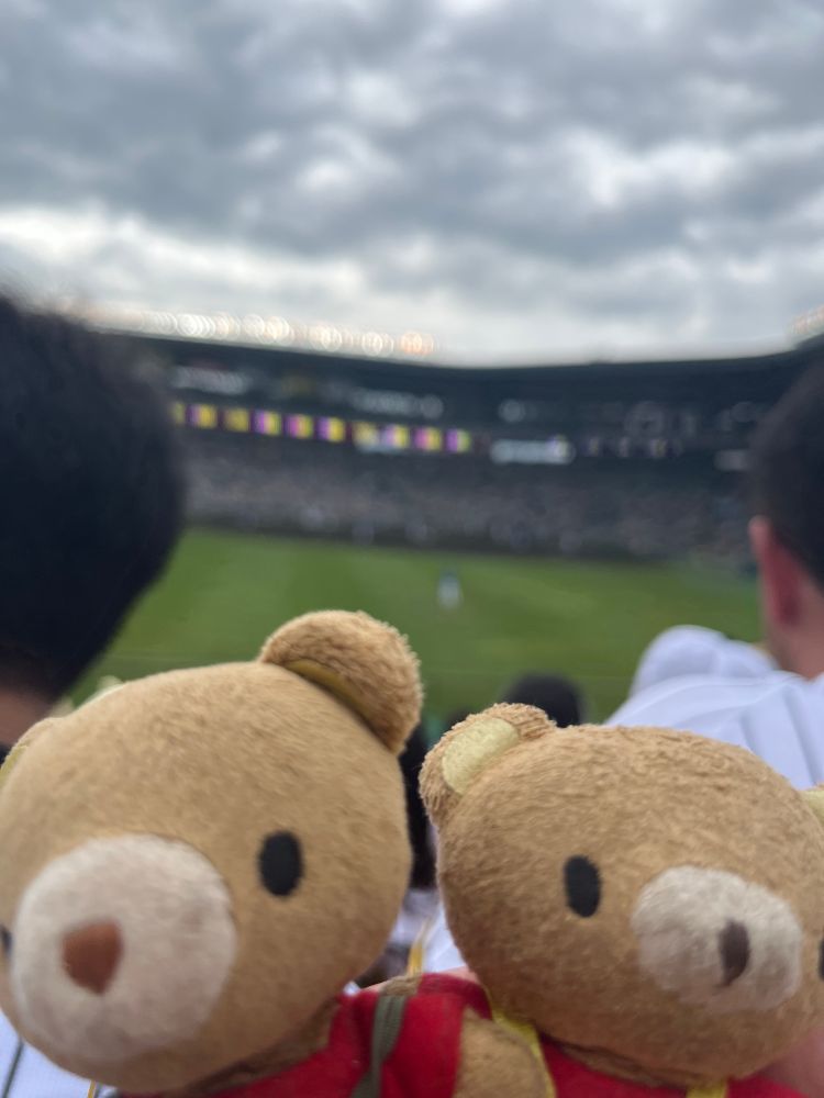 #ぬいぐるみ　#ぬい活　#ぬい撮り
阪神甲子園球場に来たポト吉と和臣