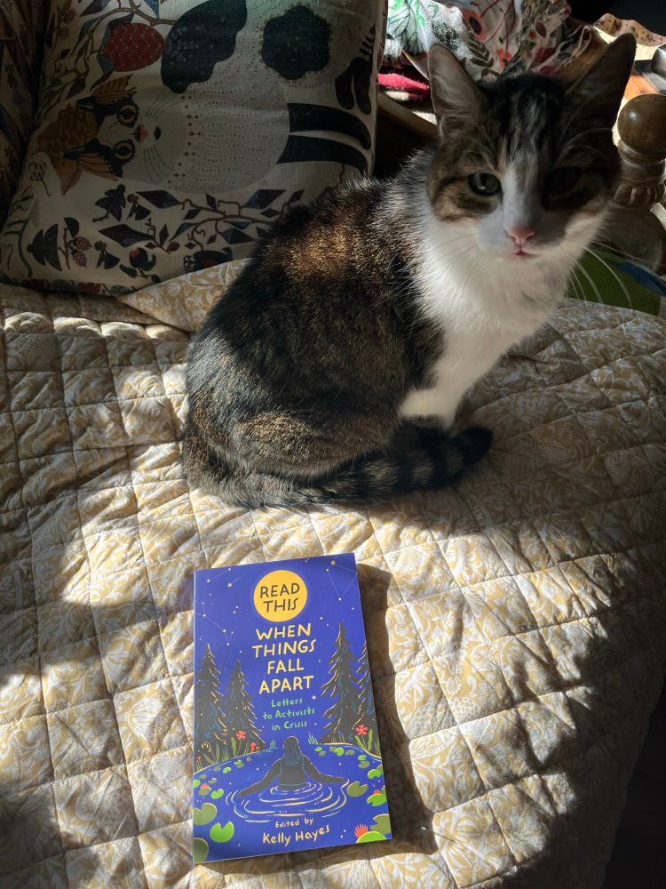 When Things Fall Apart on a yellow quilt with a tabby cat by it. 