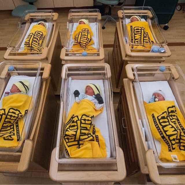 Six newborn babies in those newborn baby plastic tubs wrapped in Terrible Towels