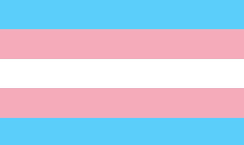 A trans flag