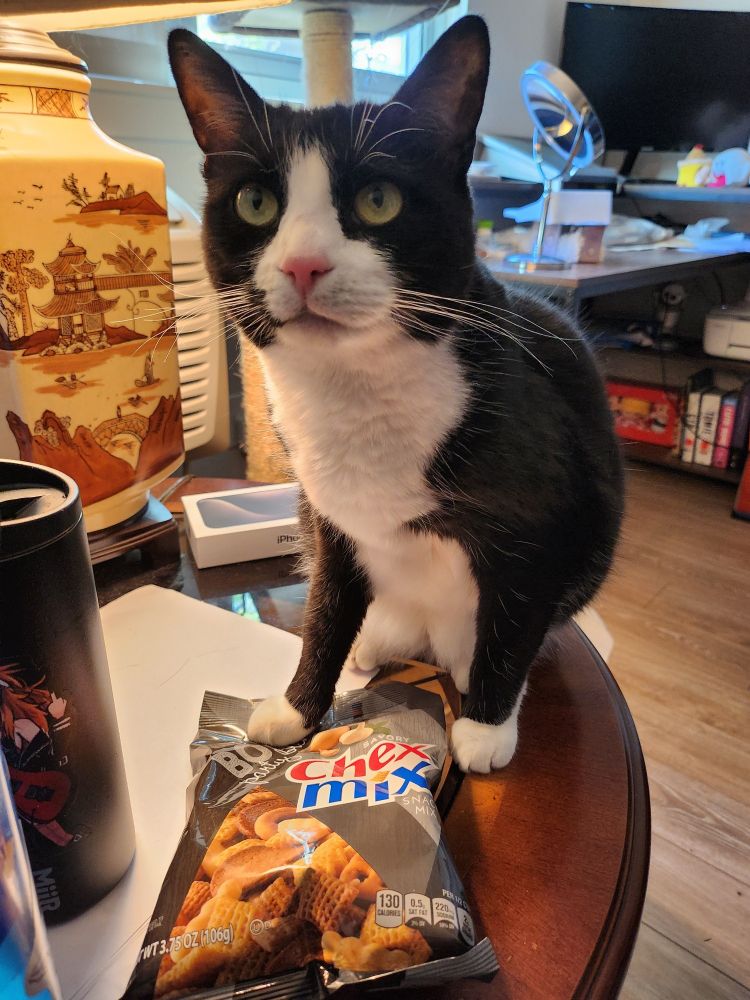 kiska putting her paw on a bag of bold chex mix