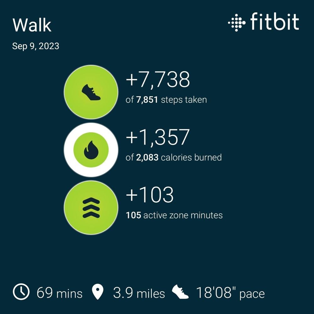 Walk exercise results. Walked 3.9 miles in an hour and nine minutes.