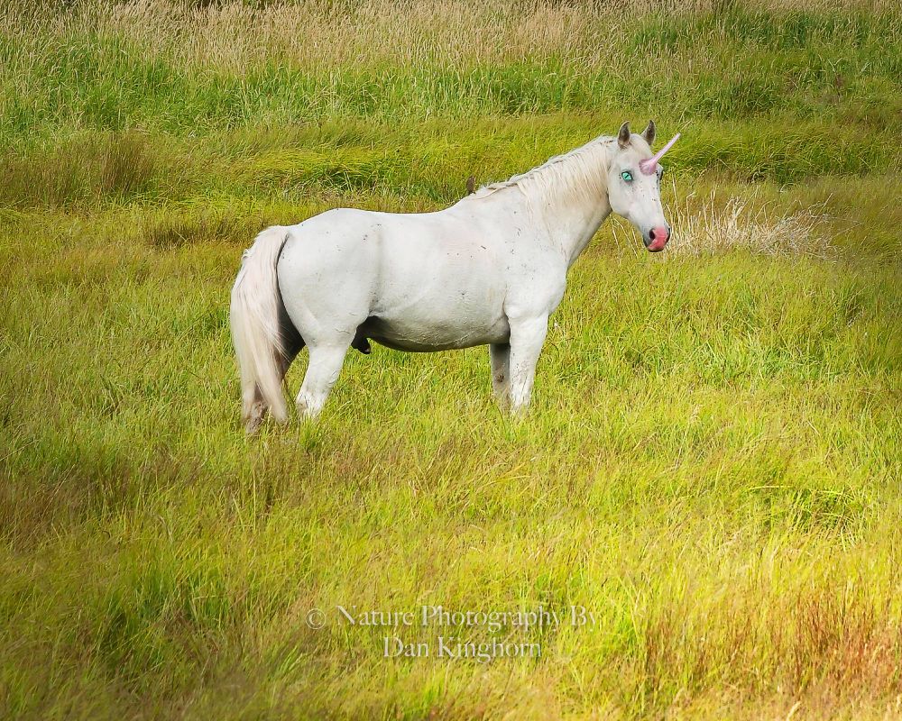 I created this crazy image.  Partly with a camera and partly with a computer.  It's about allowing the mind to leave reality and take a vacation.  🤓  Stop forcing yourselves to so solid 24/7.  Relax, go to it...Mmmhmmm.