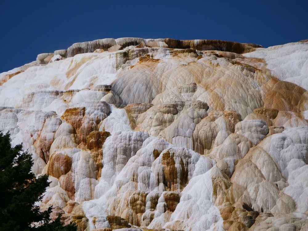 The side of the Hill that has been turned into a smooth billowing surface of whites and browns by a hot spring flowing over it