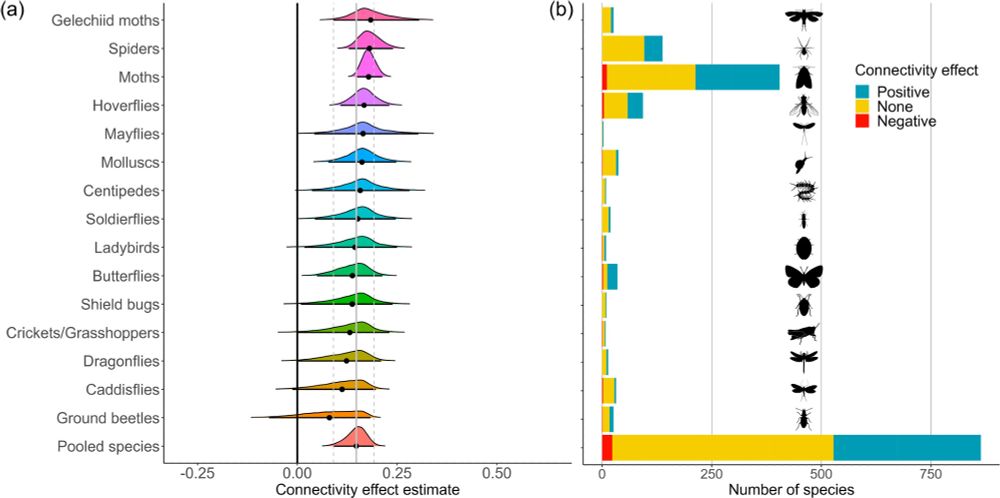 A figure showing how different invertebrate species show impacts in relation to woodland covr. Overall the connectivity effect is small, but all groups show it.