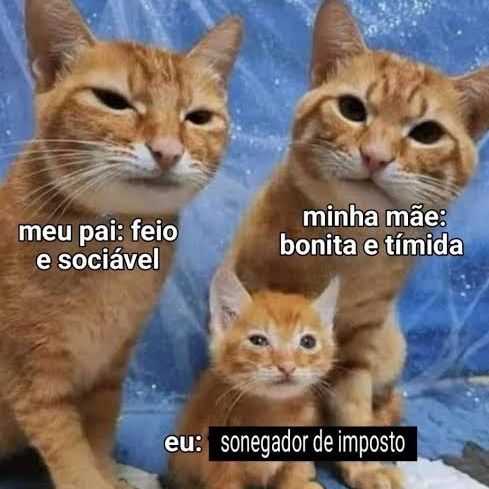Meme. Imagem com 3 gatos laranjas num fundo azul, sendo um deles filhote. Sobre os gatos maiores estão os textos "meu pai: feio e sociável" e "minha mãe: bonita e tímida". Sobre o gatinho filhote, há o texto "eu: sonegador de imposto".