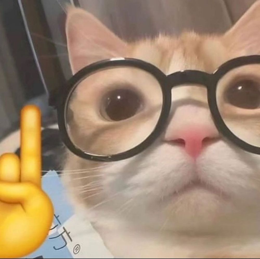 Face de um gatinho laranja e branco com um óculos de grau com armação preta, e ao lado esquerdo um emoji de dedo indicador apontando para cima, como se o bichano fosse pontuar algo muito importante.