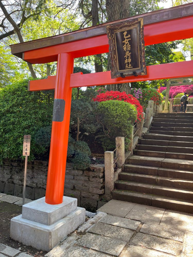 A view of a set of stone steps leading up and away from a large red Torii (Shinto shrine gate) flanked with red and purple azalea bushes in bloom, seen at Nezu-jinja in Tokyo today: 14 April 2025. 