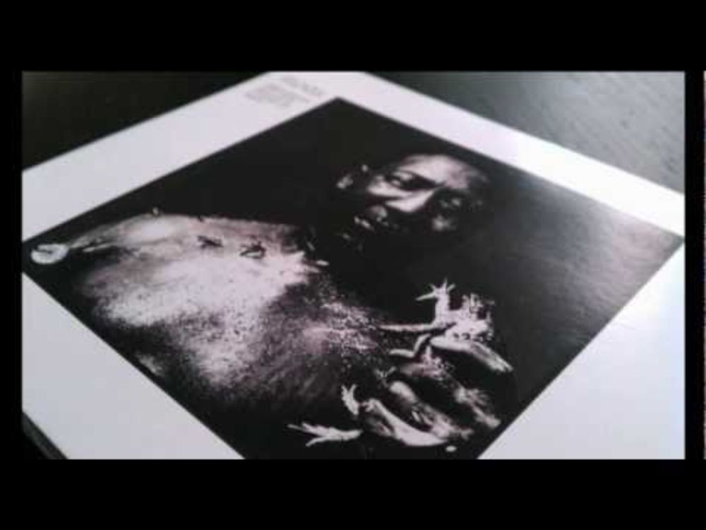Muddy Waters - Bottom of the Sea